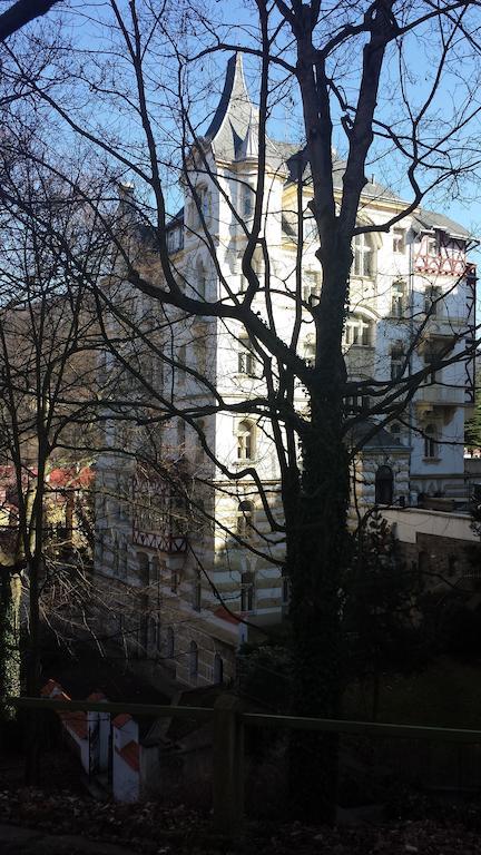 Villa Sofia Apartments Karlovy Vary Exterior photo